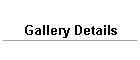 Gallery Details